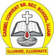 Carmel Convent School, Ujjain logo